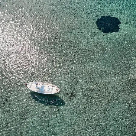 Noon Beyond Pollonia