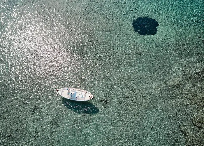 Noon Beyond Pollonia