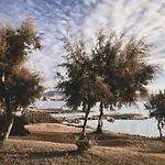 Noon Beyond